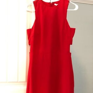 NWT knee length fitted dress.